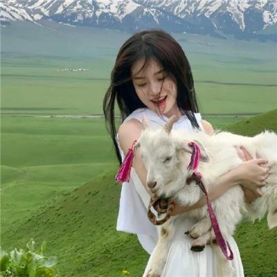 但愿人长久电影版
