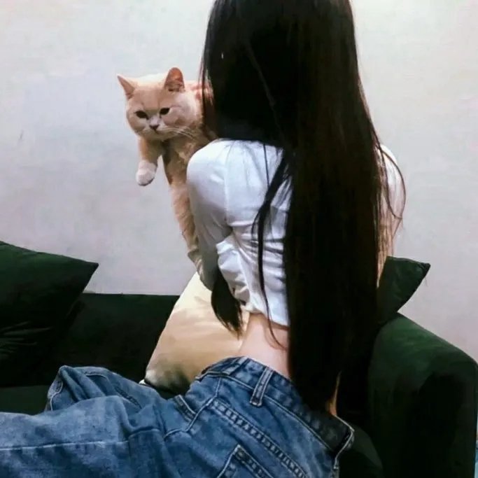 犹如故人来